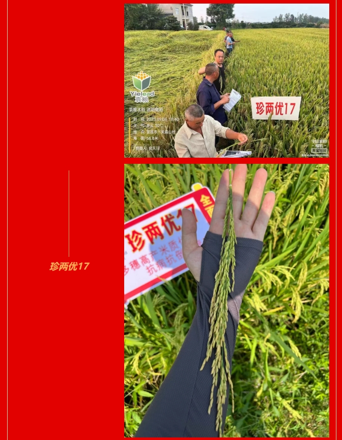 微信截图_20250207110206.png