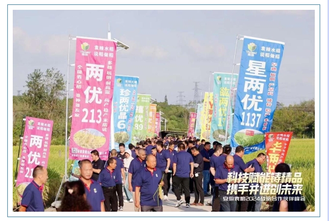 微信截图_20250207111923.png