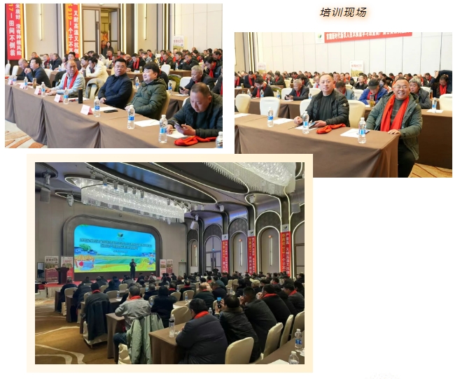 微信截图_20250207103444.png