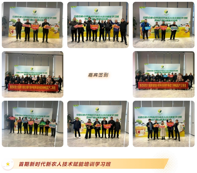 微信截图_20250207103408.png