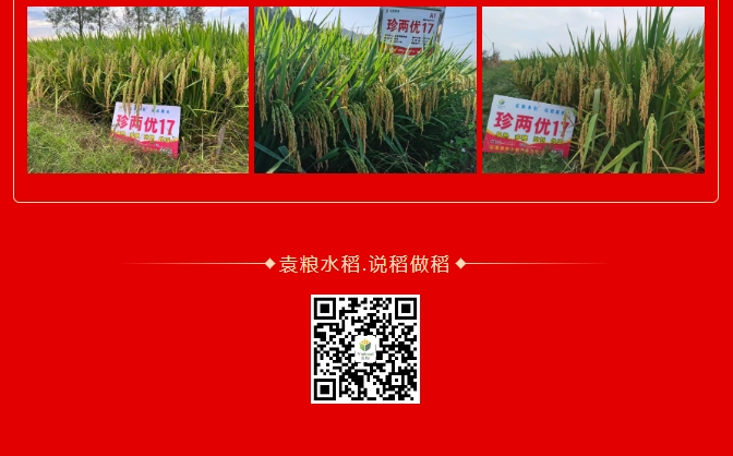微信截图_20250207110221.png