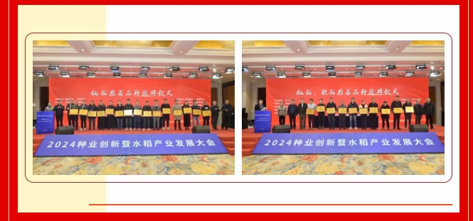 微信截图_20250207110026.png