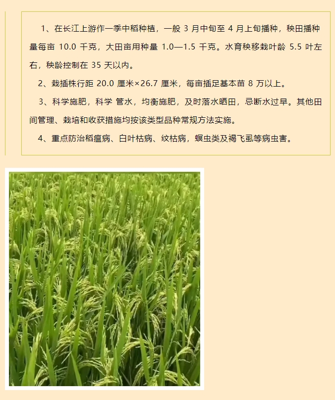 微信截图_20250319091854.png