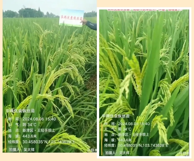 微信截图_20250319091824.png