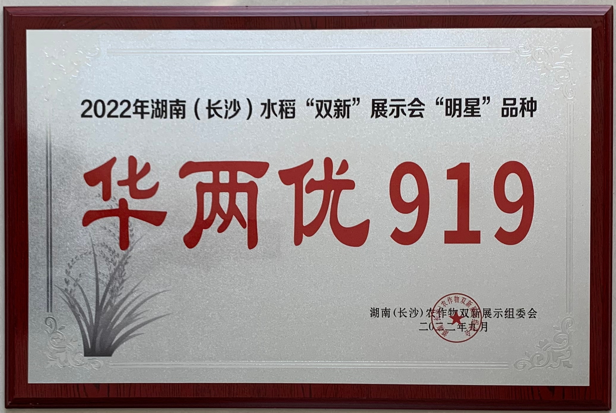 202209湖南双新展示明星品种-华两优919.jpg